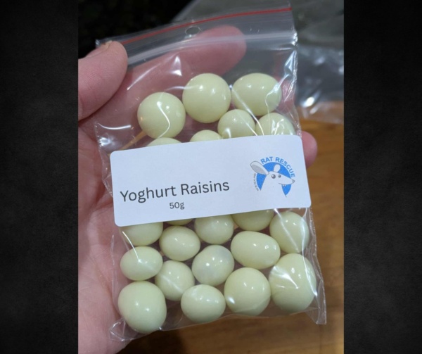 Yoghurt raisin treats - Image 2