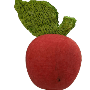 Trixie wooden apple chew